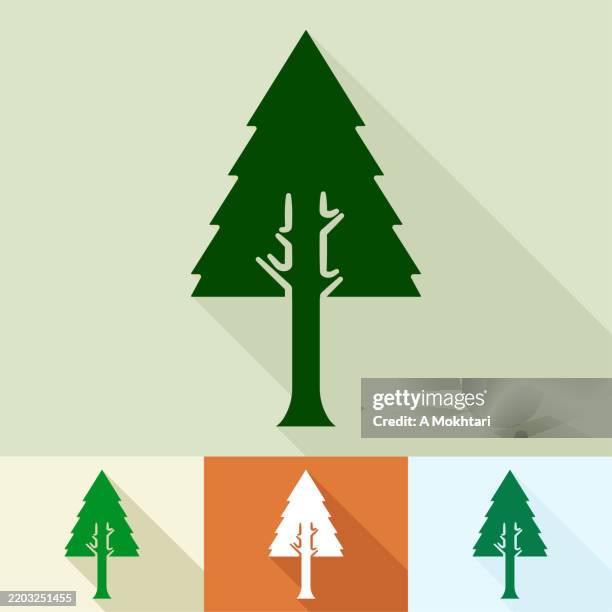 tree icon. - pine tree stock illustrations