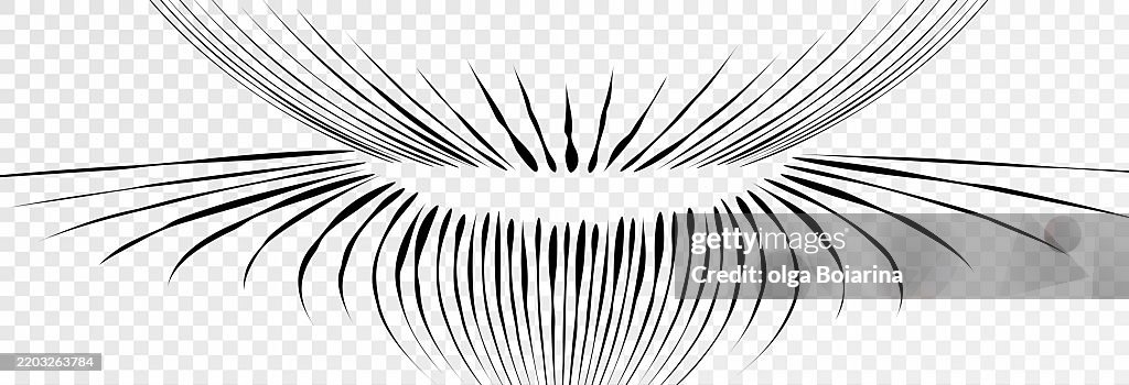 Manga speed lines, anime comics motion effect on transparent background. Manga explosion, fast speed lines, vector.