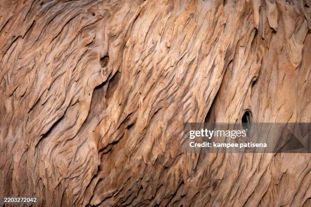 a wooden surface with a grain pattern - chipboard paper stock pictures, royalty-free photos & images