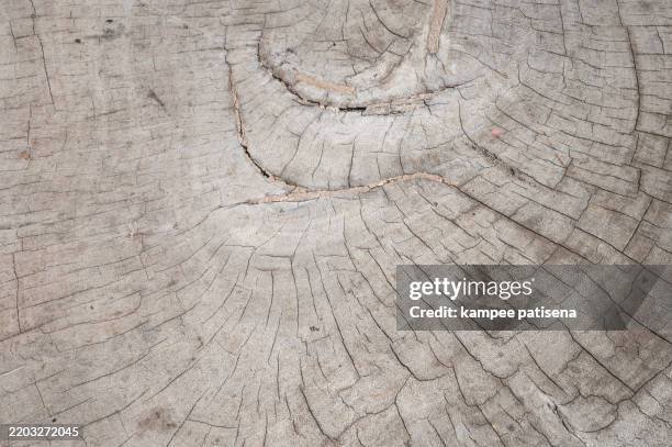 a wooden surface with a grain pattern - chipboard paper stock pictures, royalty-free photos & images