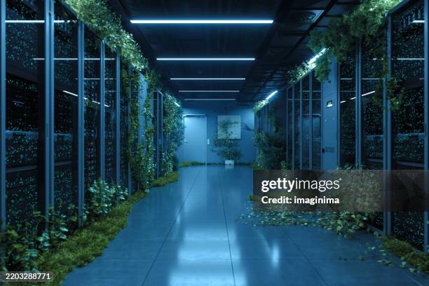 green technology server room with overgrown plants - datacenter bildbanksfoton och bilder
