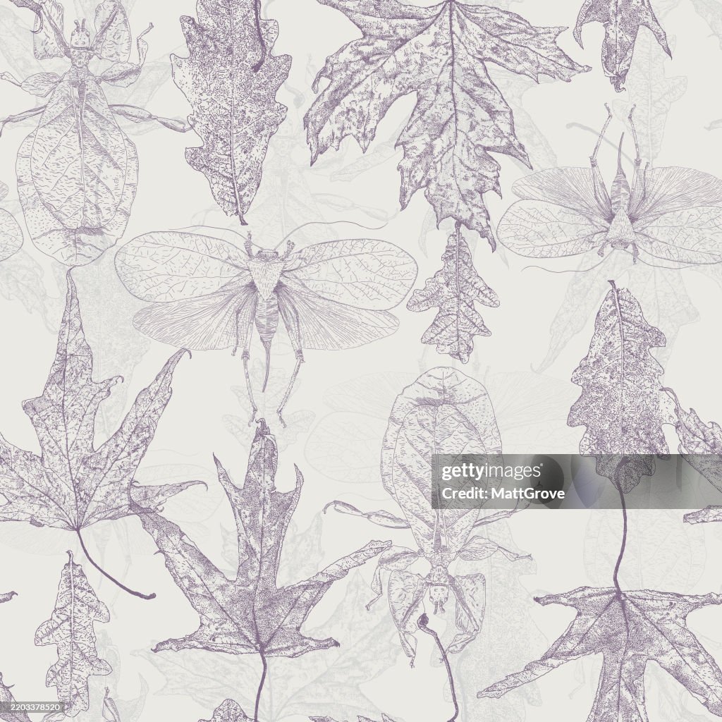 Leaf Insects & Leaves Seamless Pattern. Oak, Sycamore, Locust