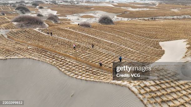 Straw grids are neatly laid out to build a "grass wall" to fight against desertification on March 3, 2025 in Jiuquan, Gansu Province of China.