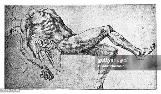 909 Michelangelo Drawings Stock Photos, High-Res Pictures, and