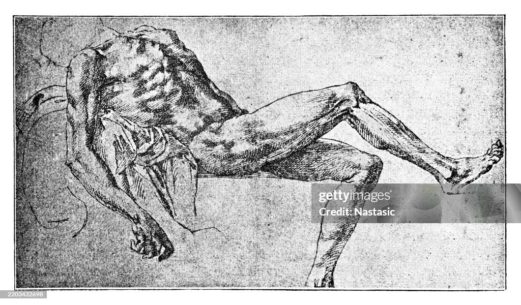 Study from a corpse by Michelangelo