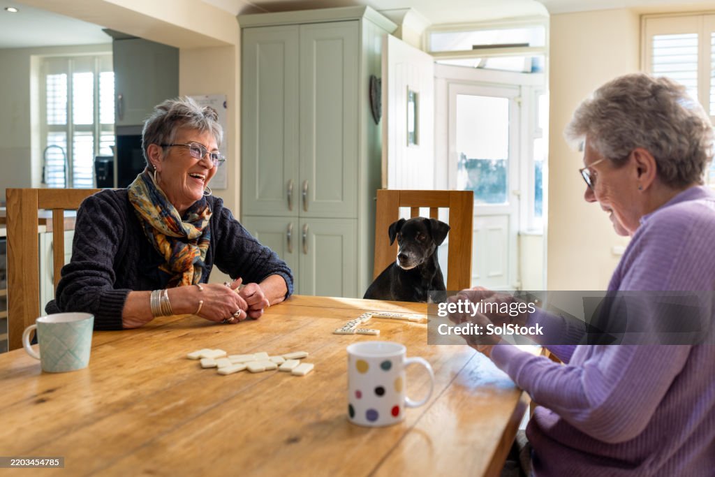 Friends and Pet Dog Playing Cards at Home
