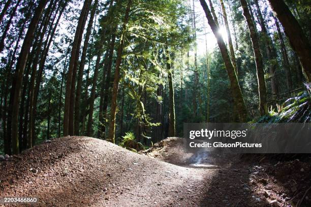 the half nelson mountain bike trail in squamish, british columbia, canada - squamish stock pictures, royalty-free photos & images