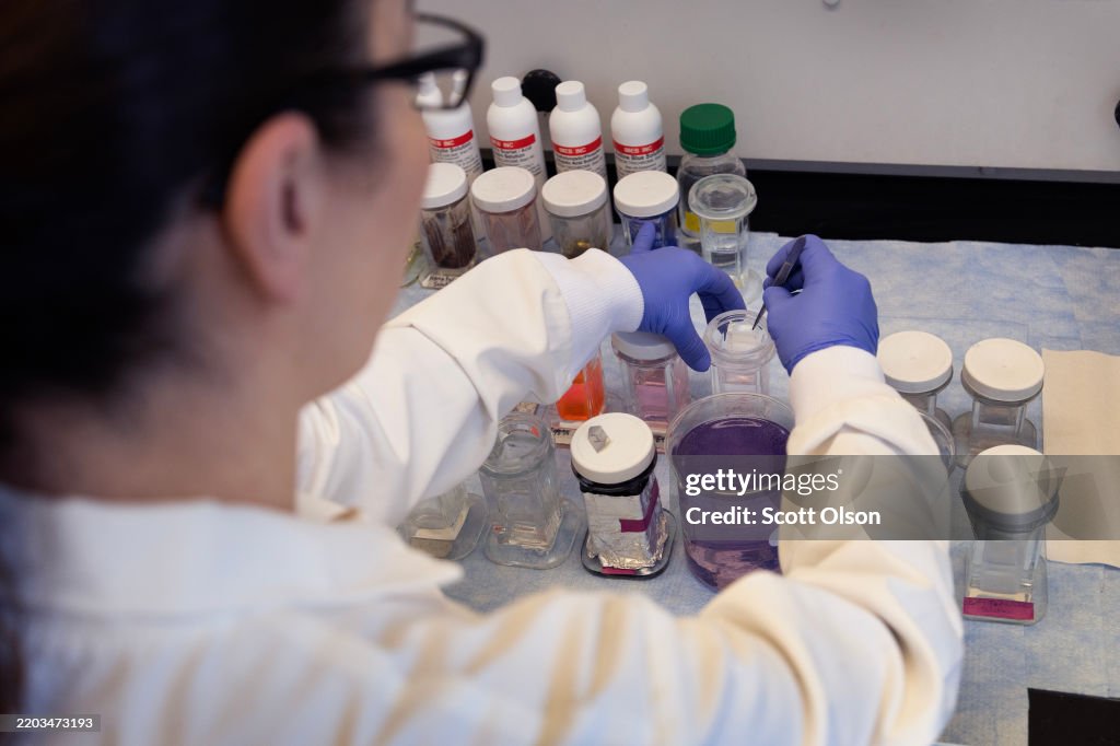 Cut In NIH Funding Imperils Medical Research At University Of Illinois Chicago