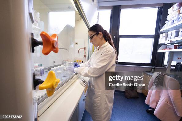 Lab Rita Sf Rita Roberts does research on skin wound healing in a lab in the ...