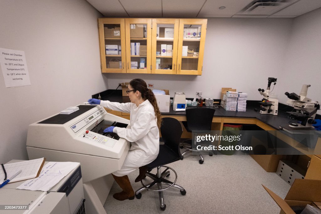 Lab Rita Sf Rita Roberts does research on skin wound healing in a lab in the ...