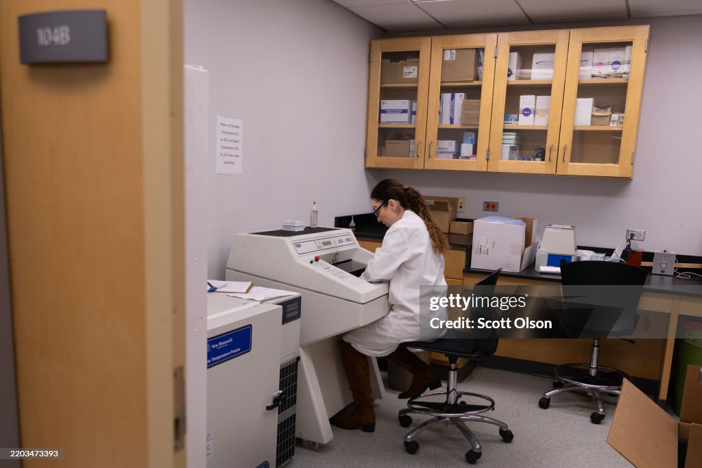 Lab Rita Sf Rita Roberts does research on skin wound healing in a lab in the ...