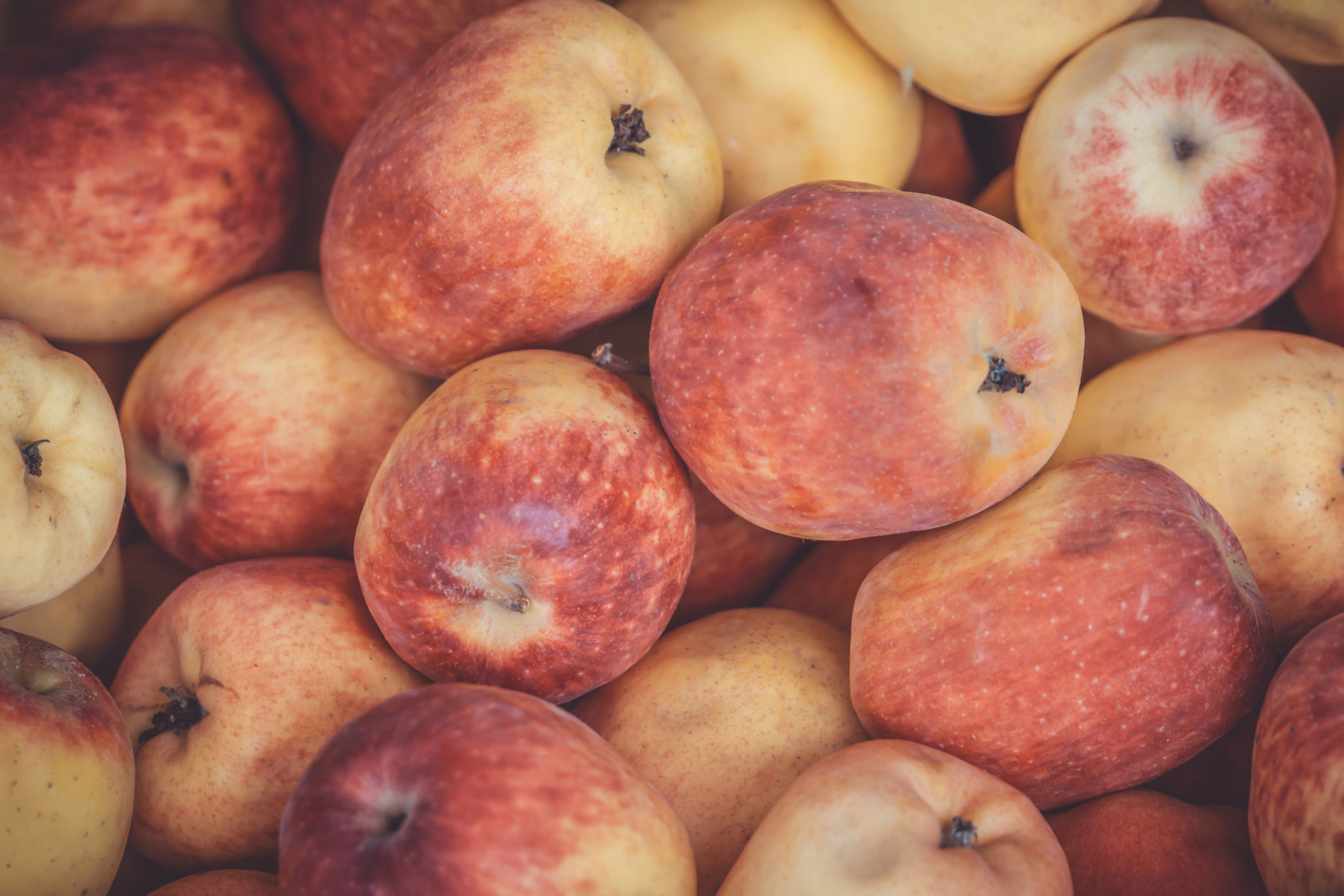 lancaster farmers market