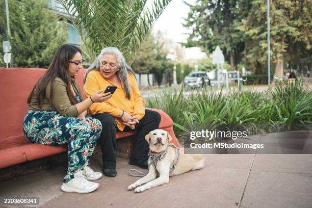 mother and daughter sitting on a bench with a guide dog enjoying a park - assistance dog stock pictures, royalty-free photos & images