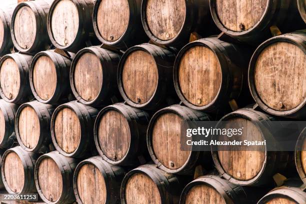 oak barrels in a wine cellar - eikenhout stockfoto's en -beelden