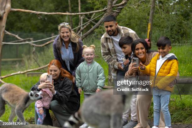 discovering nature together: a family's zoo journey - zoo stock pictures, royalty-free photos & images