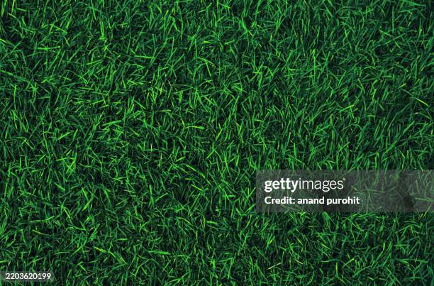 full frame shot of grass or lawn texture - piece of sod stock pictures, royalty-free photos & images