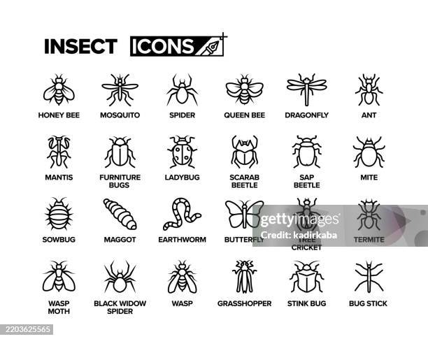 insect line icon set. group of object. - cricket insect stock illustrations