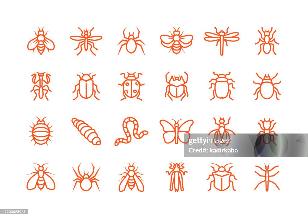 Insect line icon set. Group of object.