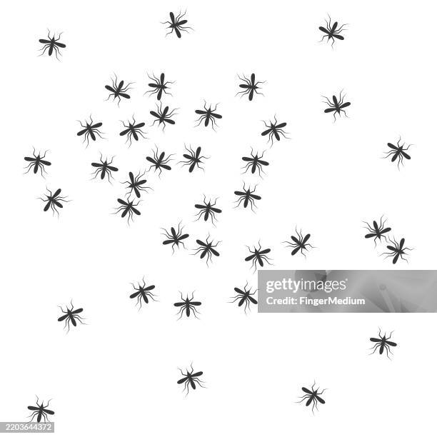 mosquito vector illustration - insect vector stock illustrations