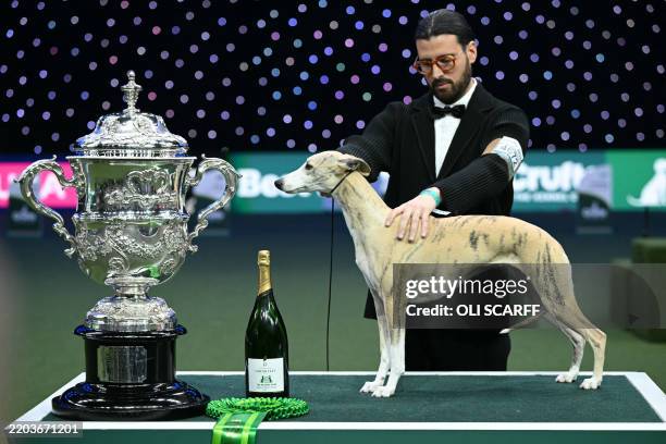The Whippet, "Miuccia" and handler Giovanni Liguori pose for photographs at the trophy presentation after winning the Best in Show event on the final...
