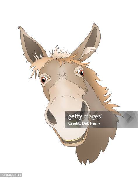 donkey or mule illustration - physical description stock pictures, royalty-free photos & images