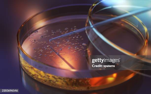 test del liquido dalla pipetta di vetro nella piastra di petri su sfondo riflettente - biotecnologia foto e immagini stock