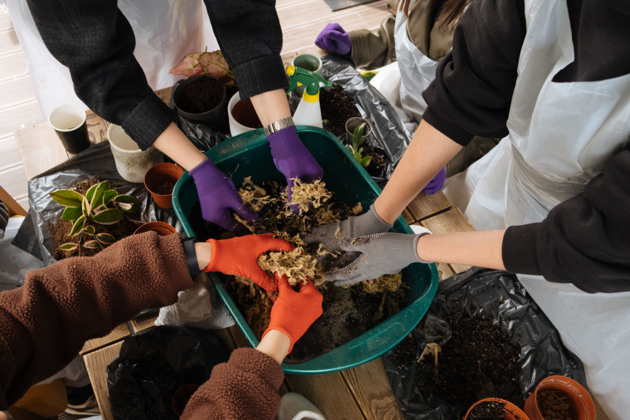 urban gardening benefits