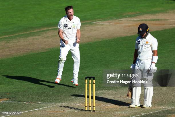 Andrew Hazeldine of the Volts celebrates after taking the wicket of Muhammad Abbas of the Firebirds during day three of the Plunket Shield game...