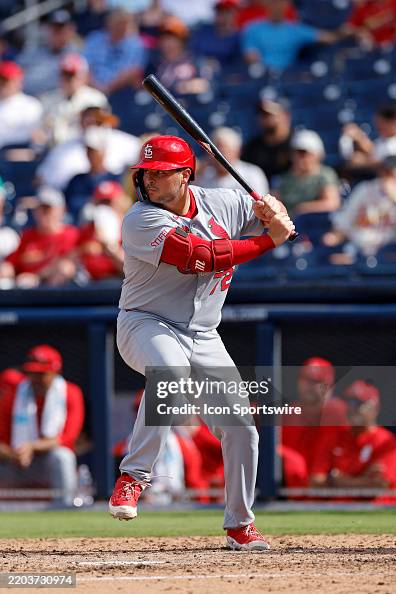 Jimmy Crooks St. Louis Cardinals catcher Jimmy Crooks bats during an MLB Spring ...
