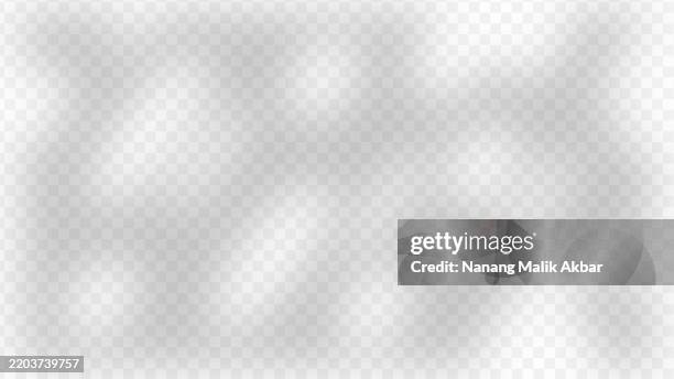 tree and leaf shadow overlay with transparent background - dappled light background stock illustrations