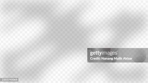 tree and leaf shadow overlay with transparent background - dappled light background stock illustrations