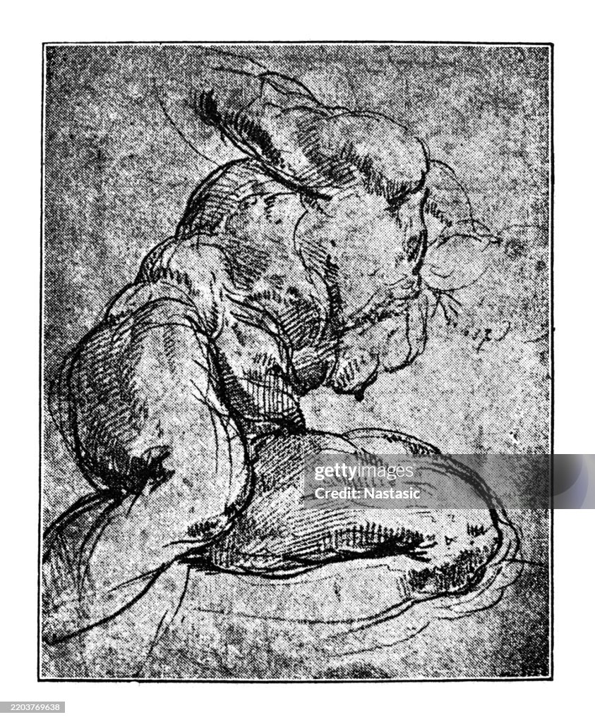 Study, with some modifications, used for a figure on the ceiling of the Sistine Chapel.