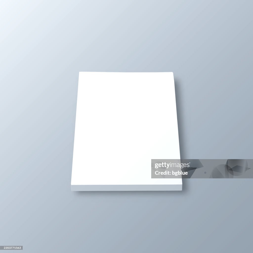 Boone County, Illinois. 3D Map on gray background