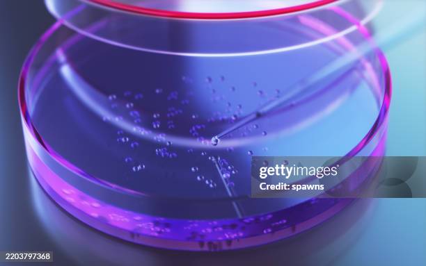 testing liquid from glass pipette into petri dish on reflective background - pipet laboratoriumapparatuur stockfoto's en -beelden