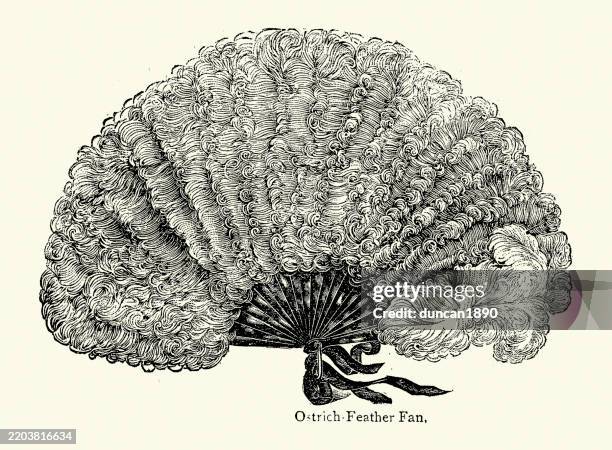ilustraciones, imágenes clip art, dibujos animados e iconos de stock de abanico de plumas de avestruz, victoriano, década de 1890, siglo xix ilustración vintage - pluma de avestruz