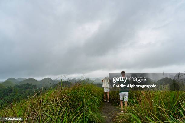 the chocolate hills in bohol - chocolate drizzle stock pictures, royalty-free photos & images