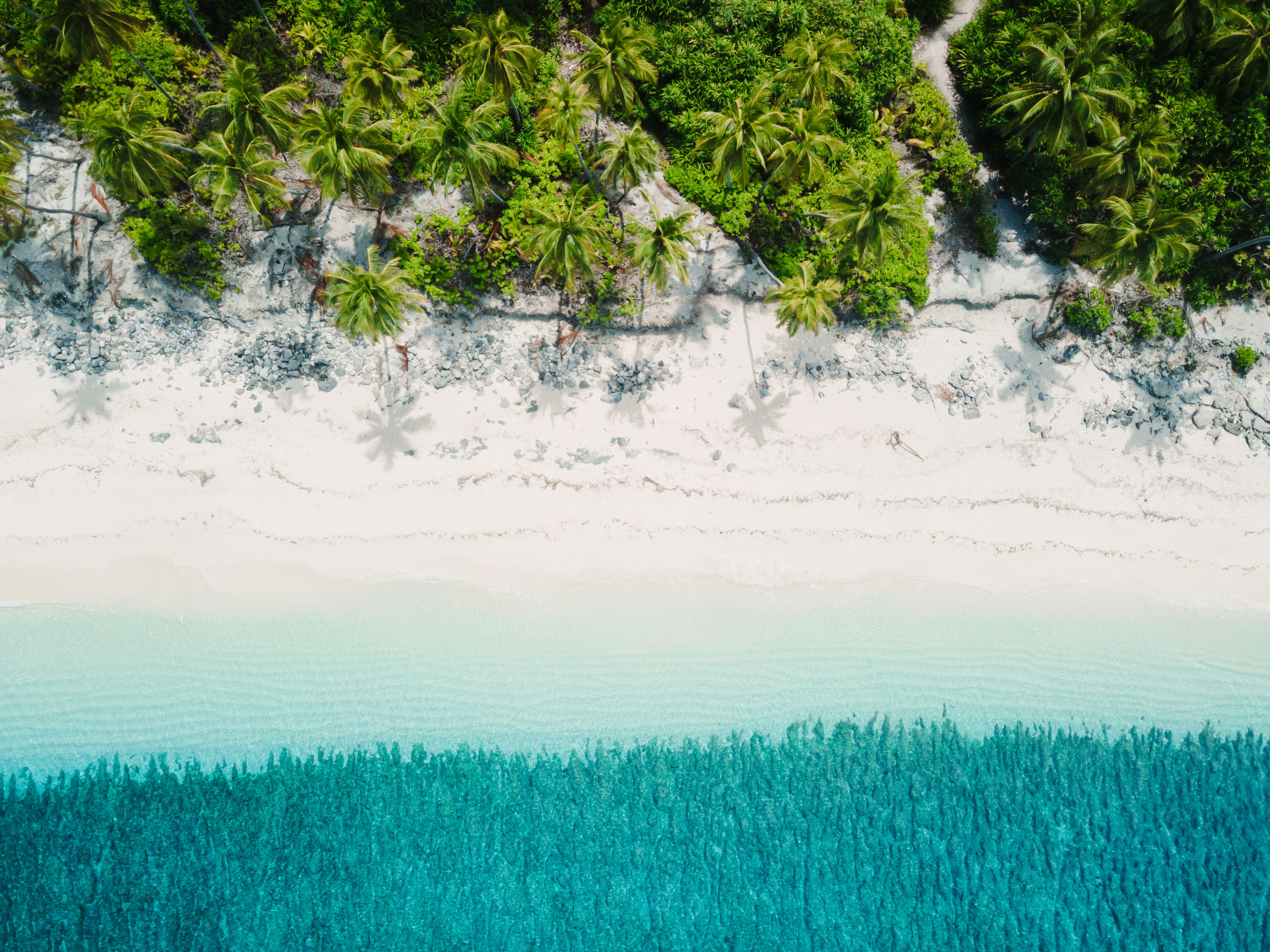 Drone view of shoreline in Maldives. Blue crystal clear water and tropical beach on paradise island. Drone view of shoreline in Maldives. Blue crystal clear water and tropical beach on paradise island.