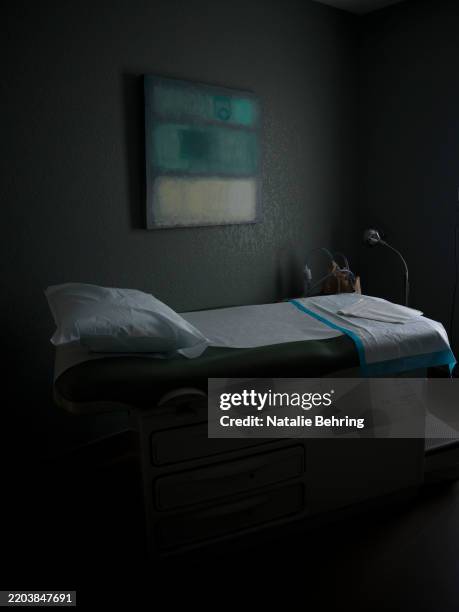An examination room is empty at Wyoming's last abortion clinic, Wellspring Center March 10, 2025 in Casper, Wyoming. In late February Wyoming's...