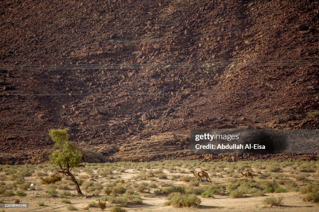 Wadi Al Disah