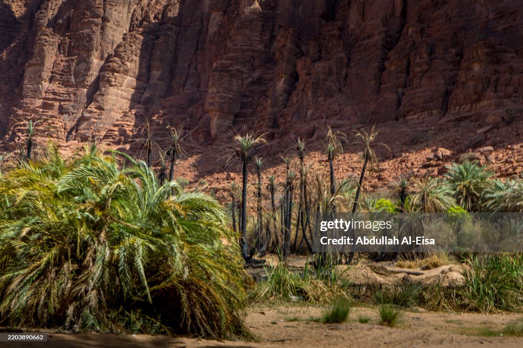 Wadi Al Disah