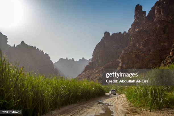 wadi al disah - riverbed stock pictures, royalty-free photos & images
