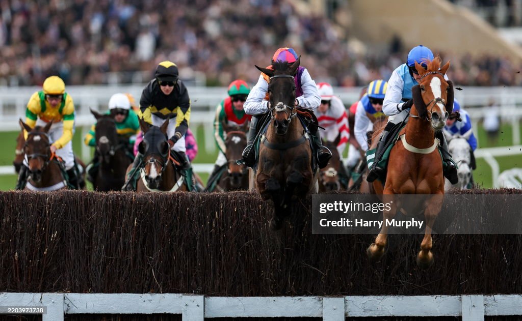 Cheltenham Racing Festival - Day One
