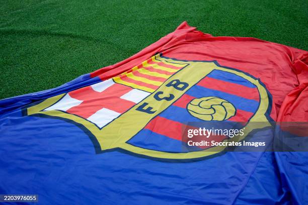 Barça Flag - FC Barcelona Official Collection - League Football - Size 150 x 100 cm Barça Flag - FC Barcelona Official Collection - League Football - Size 150 x 100 cm