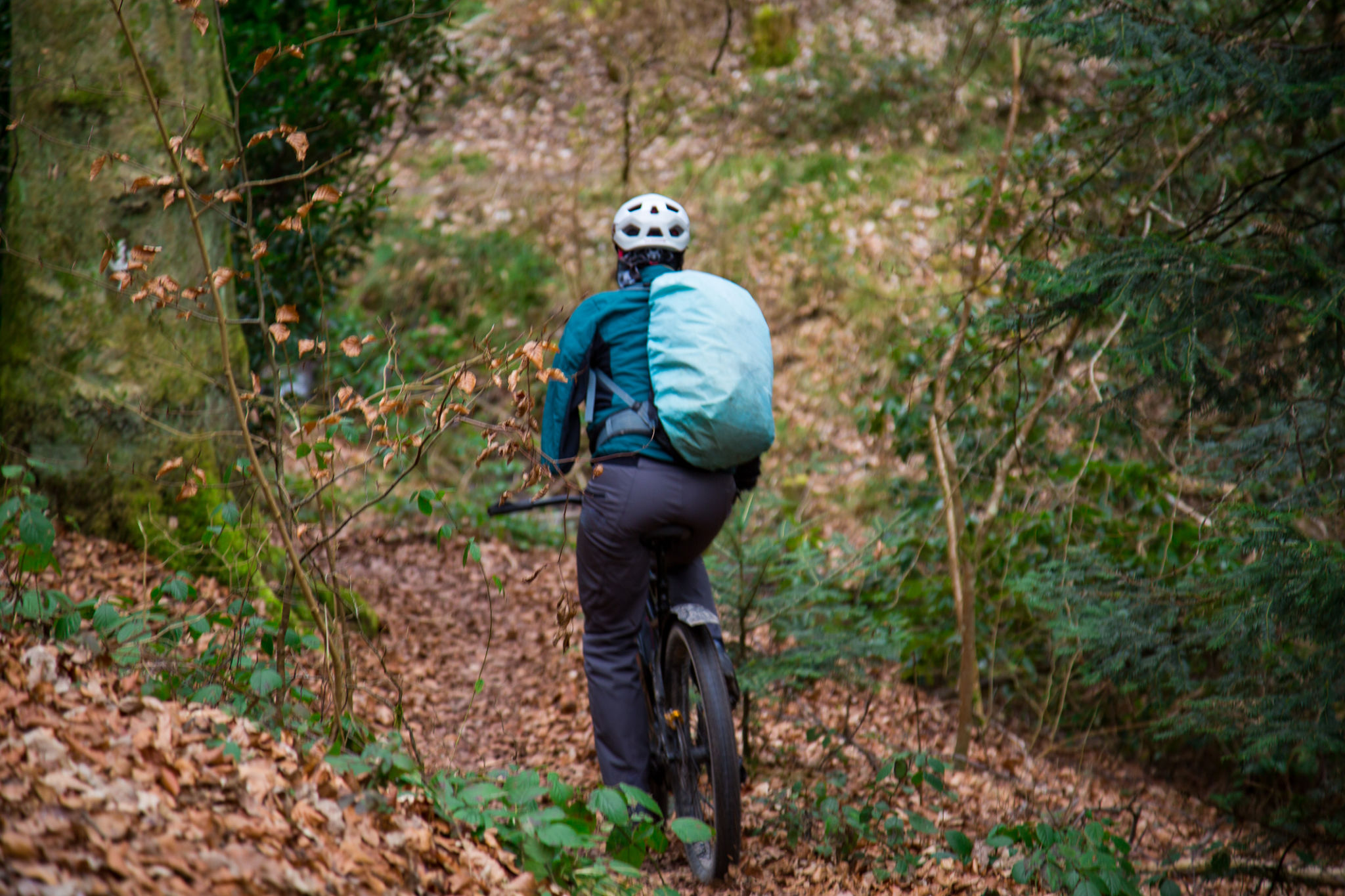 cambridgeshire healthcare