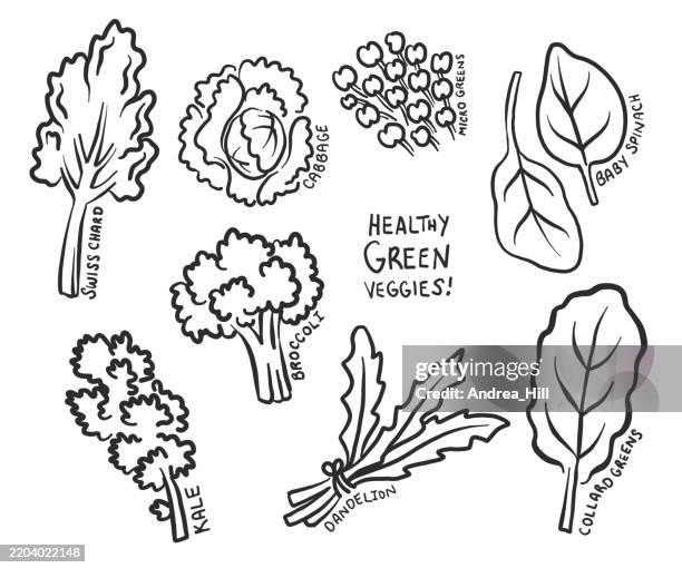 hand drawn healthy green veggie icons - broccolini stock illustrations