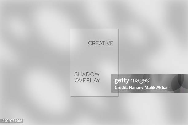tree and leaf shadow overlay with transparent background - palm tree leaf shadow stock illustrations