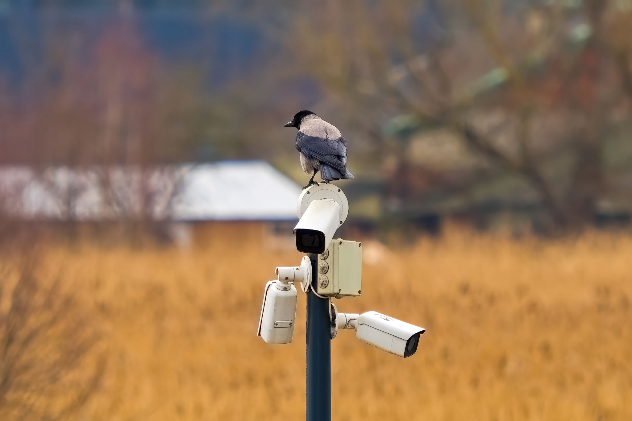 360 video production