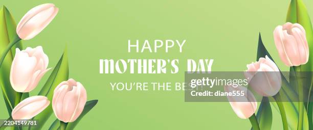 mother's day banner template with pastel tulips on a green base - 3d type flower stock illustrations