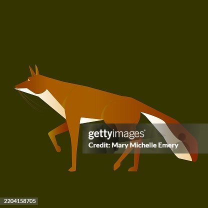Red Fox Red Fox