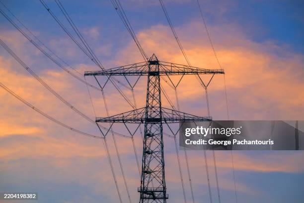 electricity pylon and power lines at sunset - rede elétrica imagens e fotografias de stock